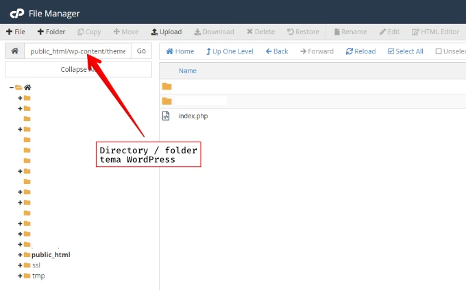 Panduan Lengkap Mengganti Tema WordPress Melalui cPanel