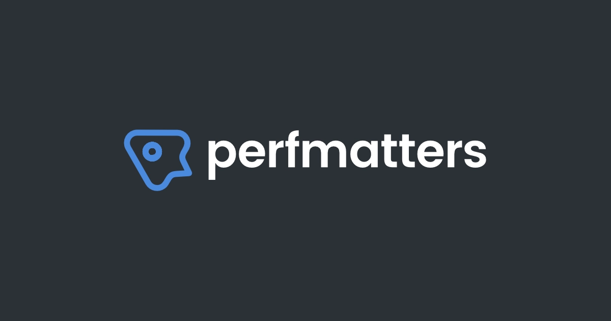 Perfmatters Cara Mengoptimalkan Kecepatan Website