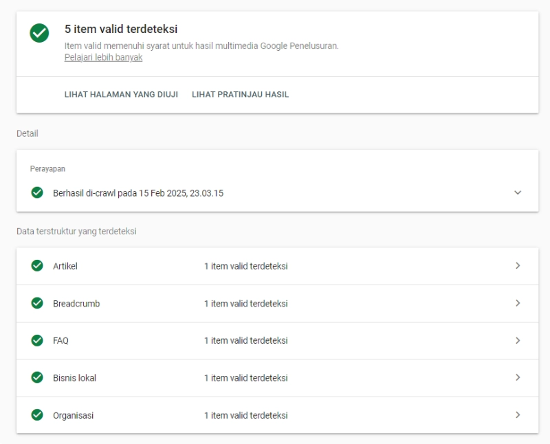 Validasi Schema MarkUp Rio Mastri